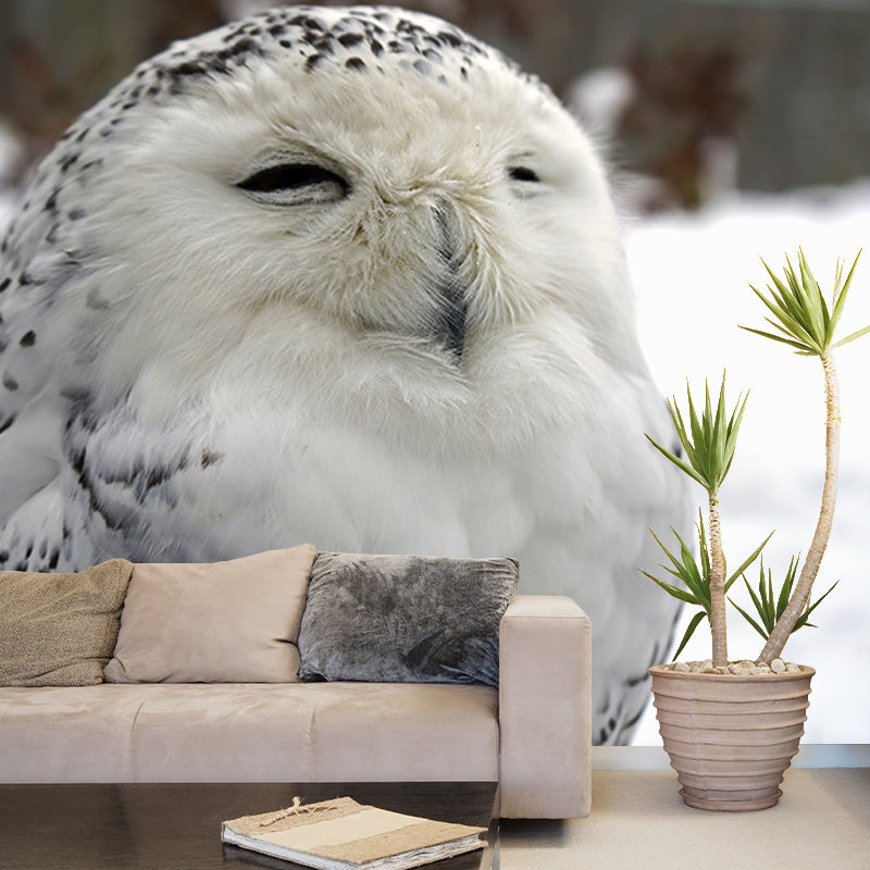 Rare Animal Owl Mural Moisture-Resistant Wall Decoration for Living Room Bedroom