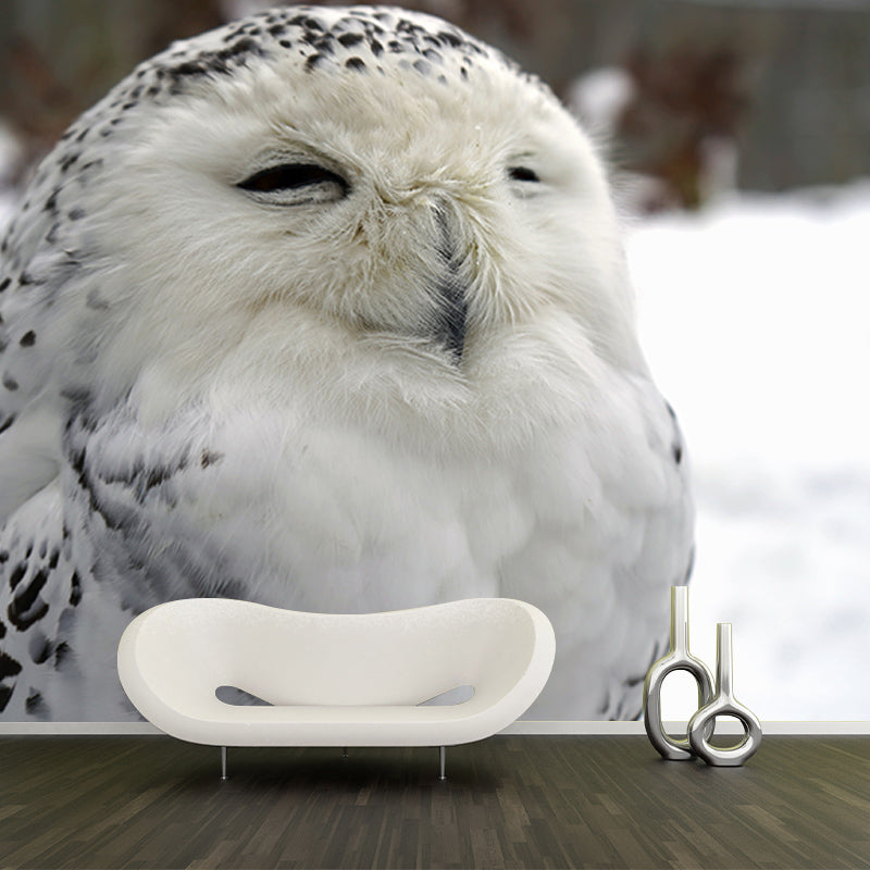 Rare Animal Owl Mural Moisture-Resistant Wall Decoration for Living Room Bedroom