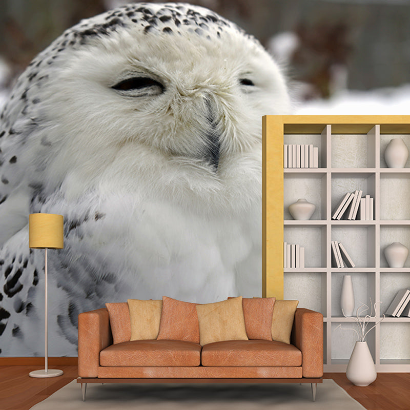Rare Animal Owl Mural Moisture-Resistant Wall Decoration for Living Room Bedroom