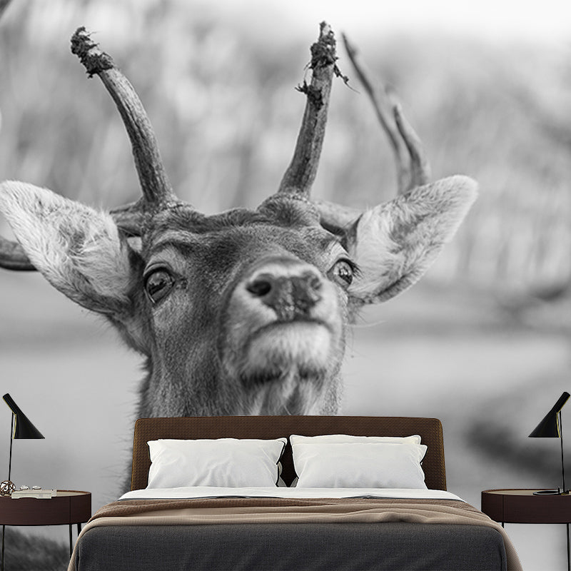 Deer Contemporary Wall Art Waterproofing Mural Wallpaper for Dining Room