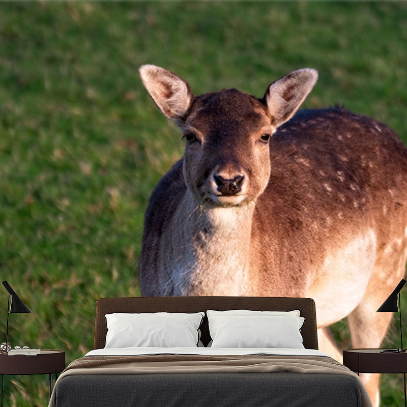 Modern Deer Animal Wall Mural for Living Room Bedroom, Removable, Customized Size