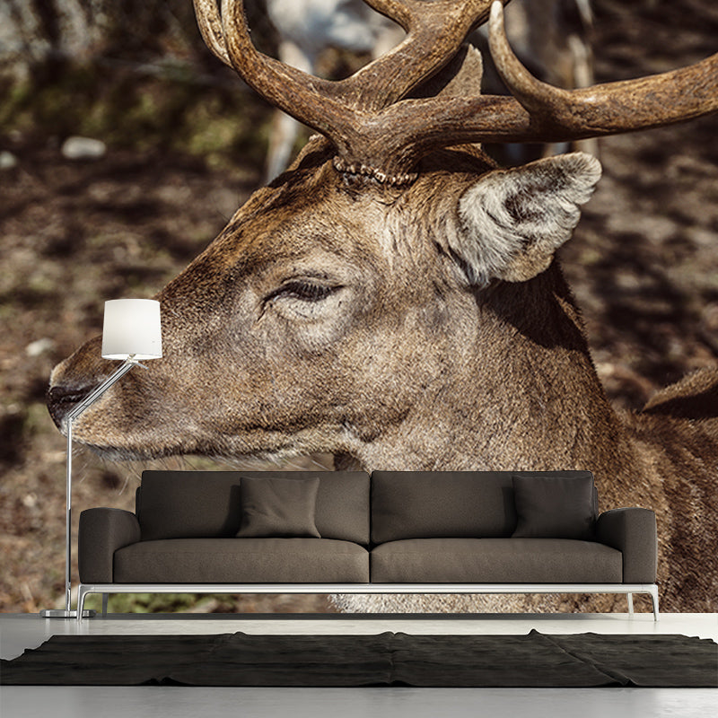 Modern Deer Animal Wall Mural for Living Room Bedroom, Removable, Customized Size