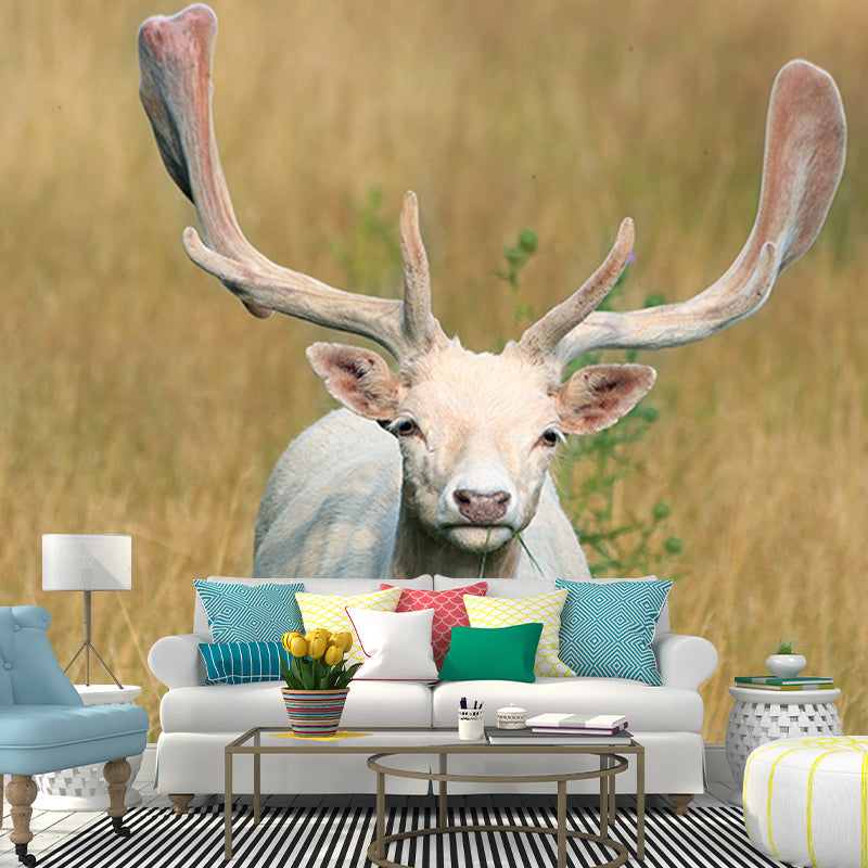 Modern Deer Animal Wall Mural for Living Room Bedroom, Removable, Customized Size