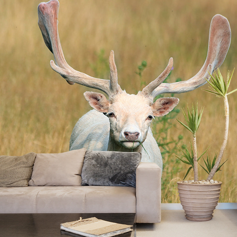 Modern Deer Animal Wall Mural for Living Room Bedroom, Removable, Customized Size
