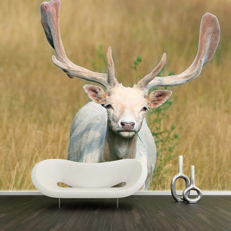 Modern Deer Animal Wall Mural for Living Room Bedroom, Removable, Customized Size
