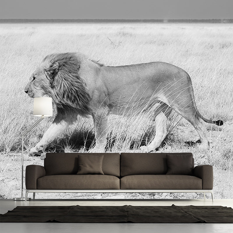 Rare Lion Wall Mural for Living Room Bedroom, Removable, Customized Size