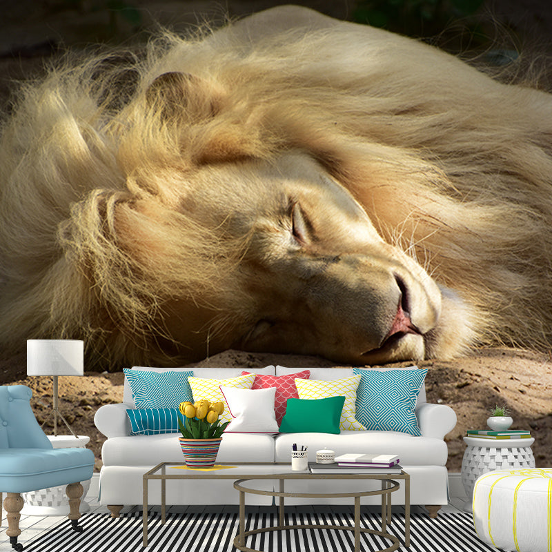Rare Lion Wall Mural for Living Room Bedroom, Removable, Customized Size