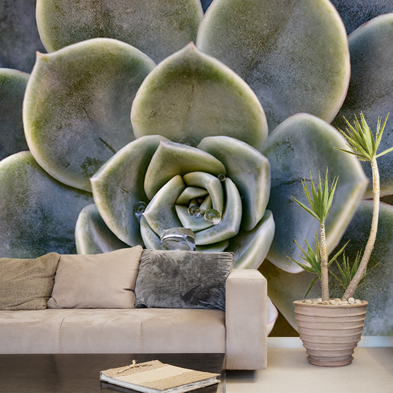 Succulent Plant Mural Wallpaper Personalized Size Wall Covering for Study Room