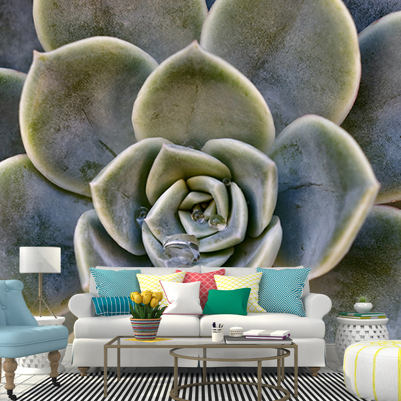 Succulent Plant Mural Wallpaper Personalized Size Wall Covering for Study Room