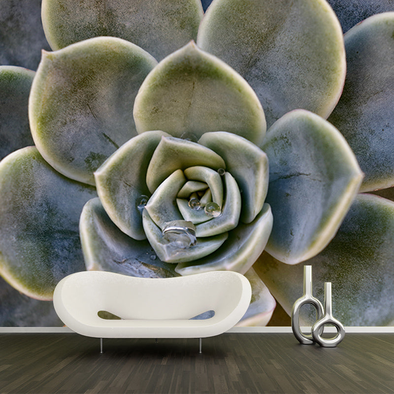 Succulent Plant Mural Wallpaper Personalized Size Wall Covering for Study Room