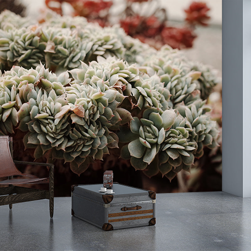 Modern Style Succulent Plant Mural Stain-Resistant Wall Decor for Guest Room