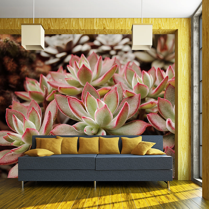 Modern Style Succulent Plant Mural Stain-Resistant Wall Decor for Guest Room