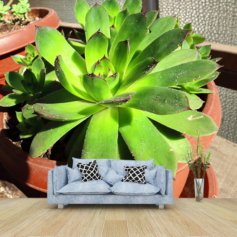 Rosette Plant Removable Wall Art Decor for Office Apartment, Moisture Resistant