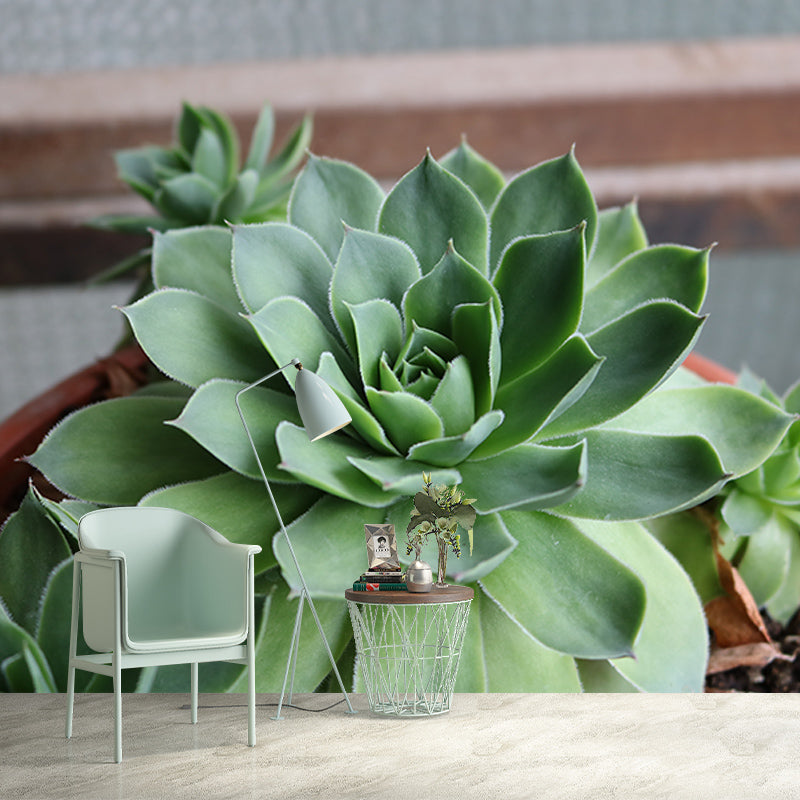 Rosette Plant Removable Wall Art Decor for Office Apartment, Moisture Resistant