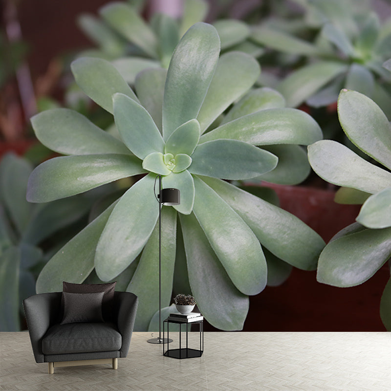 Rosette Plant Removable Wall Art Decor for Office Apartment, Moisture Resistant