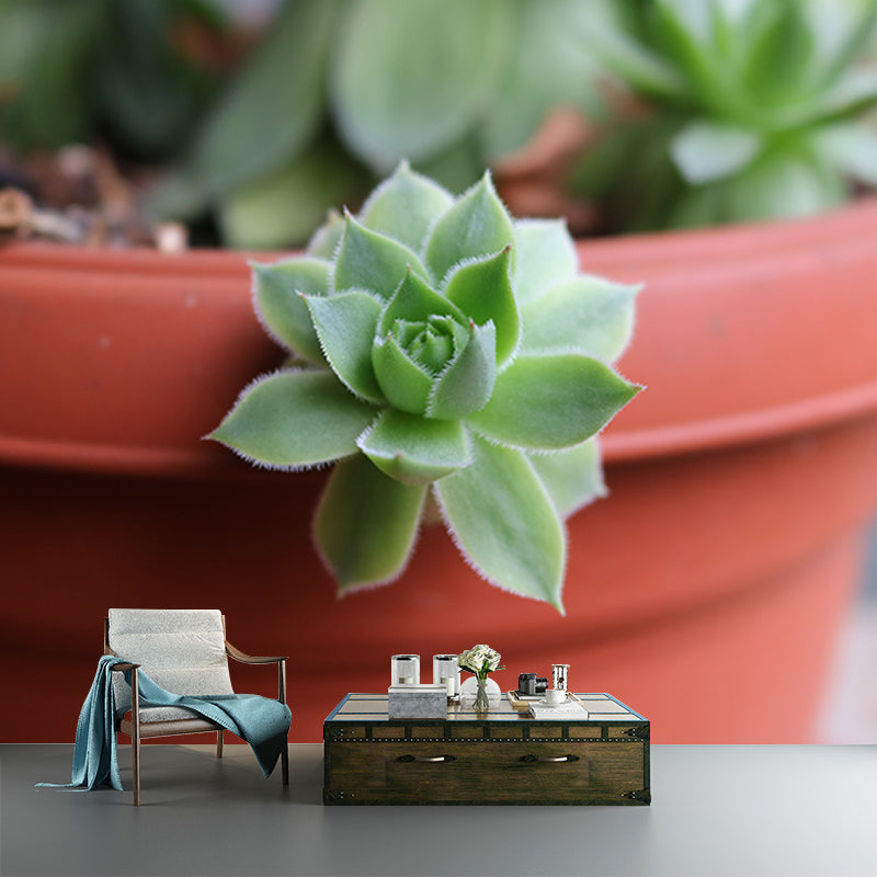 Rosette Plant Removable Wall Art Decor for Office Apartment, Moisture Resistant