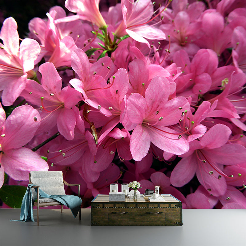 Rhododendron Wall Mural for Guest Room Bedroom, Personalized Size Available