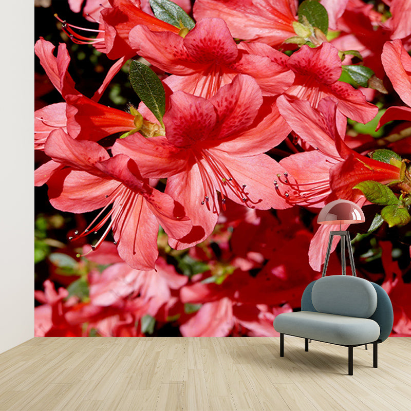 Rhododendron Wall Mural for Guest Room Bedroom, Personalized Size Available