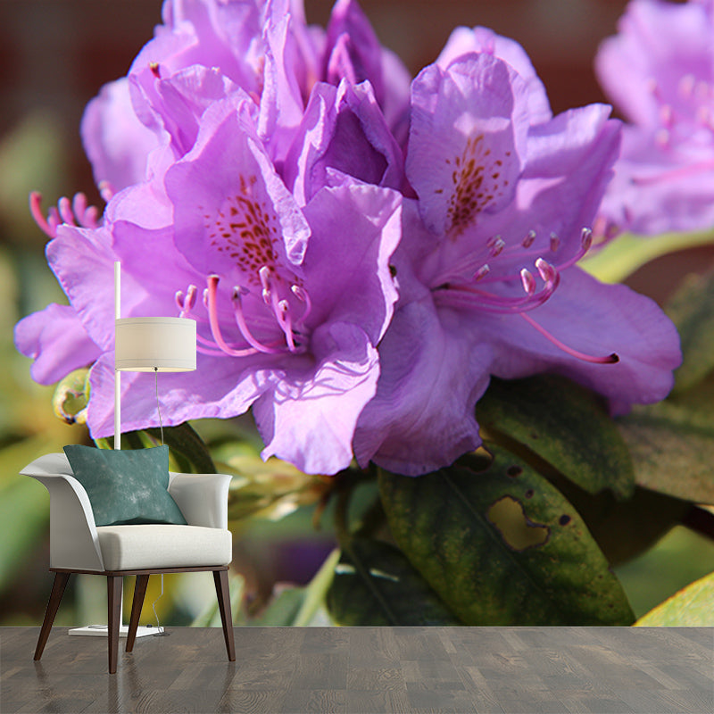 Rhododendron Wall Mural for Guest Room Bedroom, Personalized Size Available