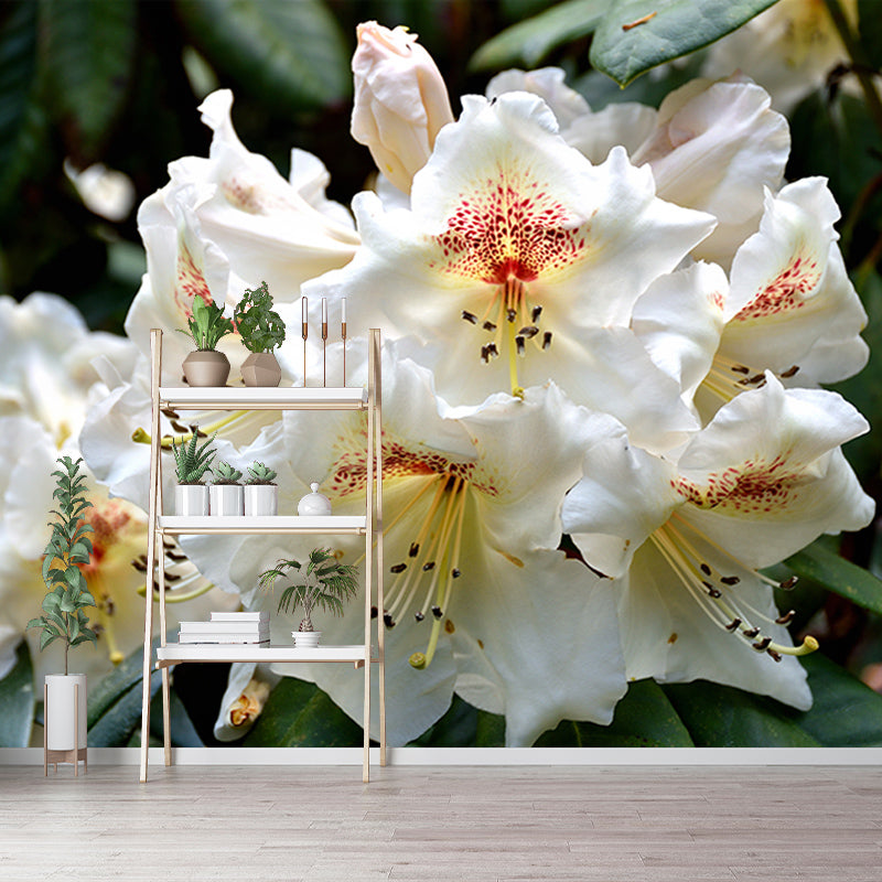 Bright Rhododendron Mural Stain Resistant Wall Art for Living Room Sitting Room