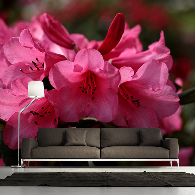 Blooming Rhododendron Mural Personalized Size Wall Covering for Sleeping Room