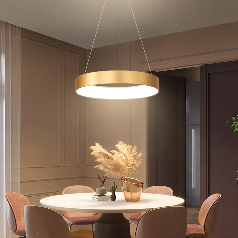 Modern Simple Style LED Pendant Light Living Room Hanging Light Fixture