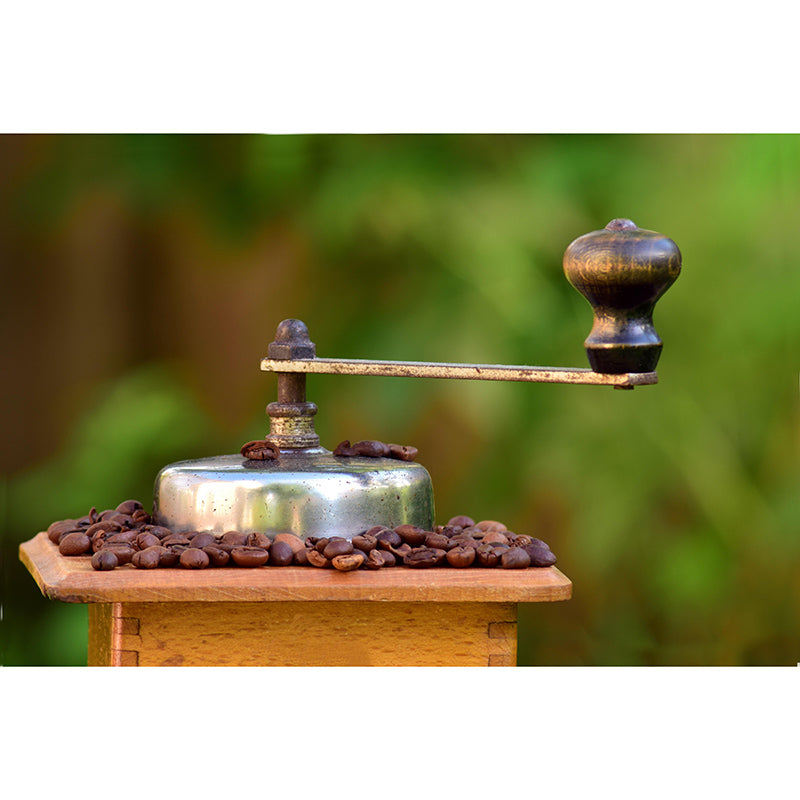 Customized Fragrant Coffee Beans Mural Wall Decor Eco-friendly for Coffee Shop