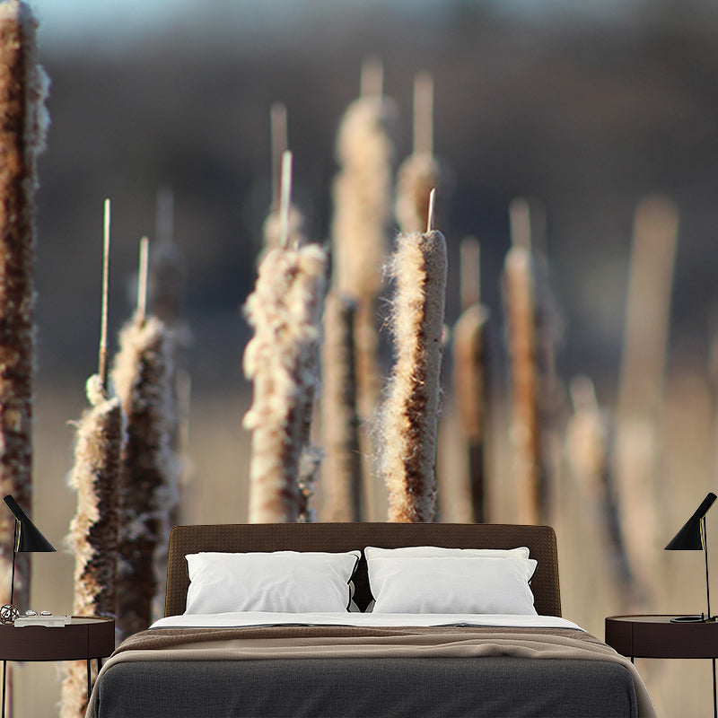 Cattails Plant Moisture Resistant Mural Decal Modern Wall Decor for Sleeping Room