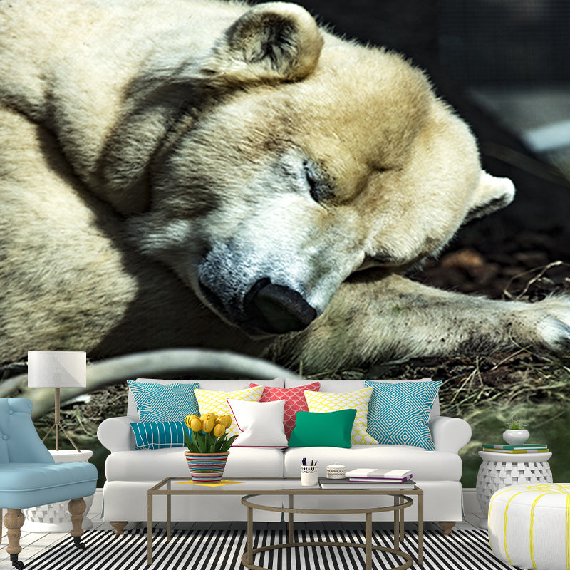 Polar Bear Mural Wallpaper Mildew Resistant Wall Covering for House Interior