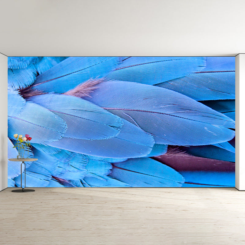 Tropical Feather Wall Mural Contemporary Home Decor for Sitting Room, Water Resistant