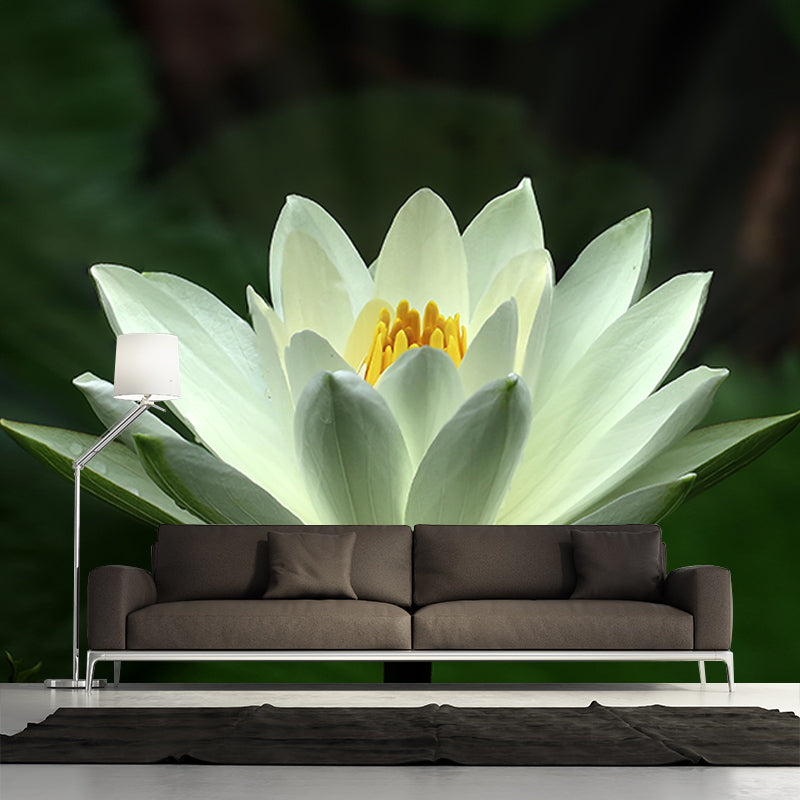 Water Flower Wall Mural Decals Home Decoration Girls' Bedroom Wall Decor