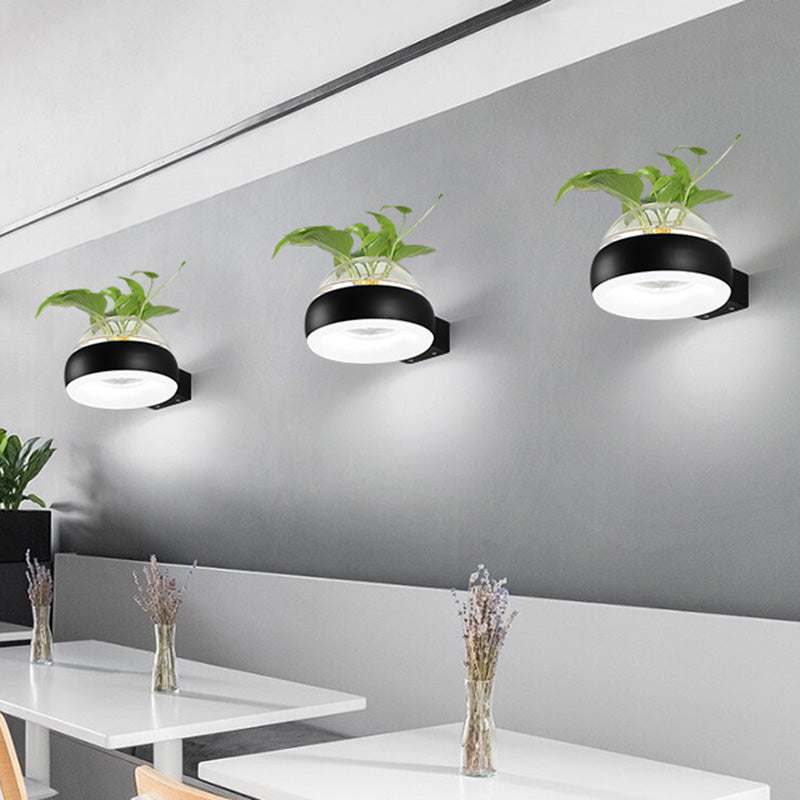 Clear Glass Dome Wall Lighting Industrial 1 Bulb Bedroom LED Wall Sconce Lamp in Black/Grey/White with Plant Container