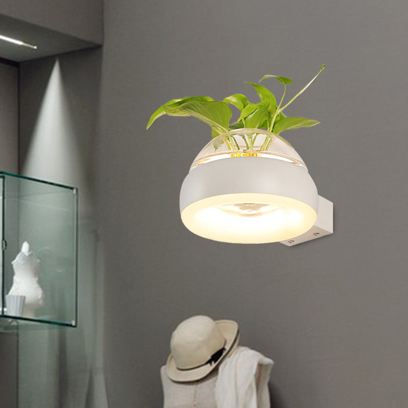Clear Glass Dome Wall Lighting Industrial 1 Bulb Bedroom LED Wall Sconce Lamp in Black/Grey/White with Plant Container