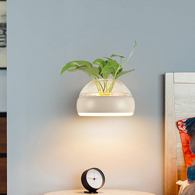Iluminación de pared de cúpula de vidrio transparente 1 lámpara de apliques de pared LED de dormitorio de dormitorio en negro/gris/blanco con recipiente de plantas