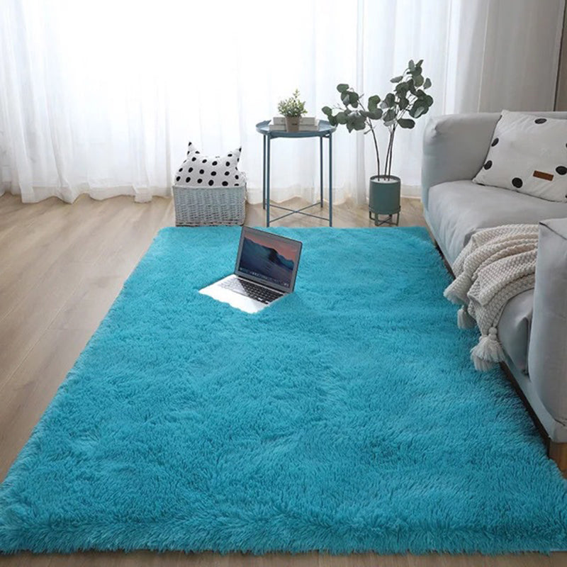 Novelty Plain Shag Carpet Polyester Indoor Rug Non-Slip Backing Area Carpet for Living Room