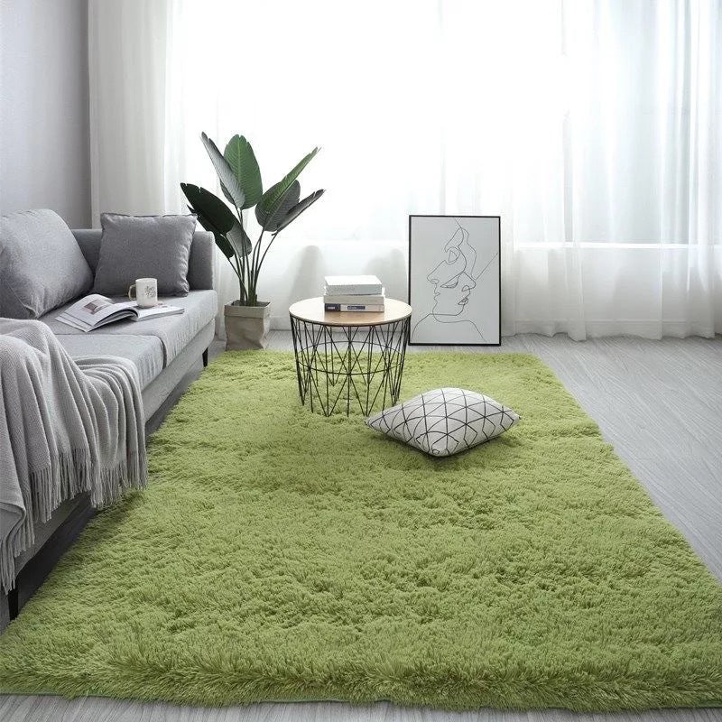 Novelty Plain Shag Carpet Polyester Indoor Rug Non-Slip Backing Area Carpet for Living Room