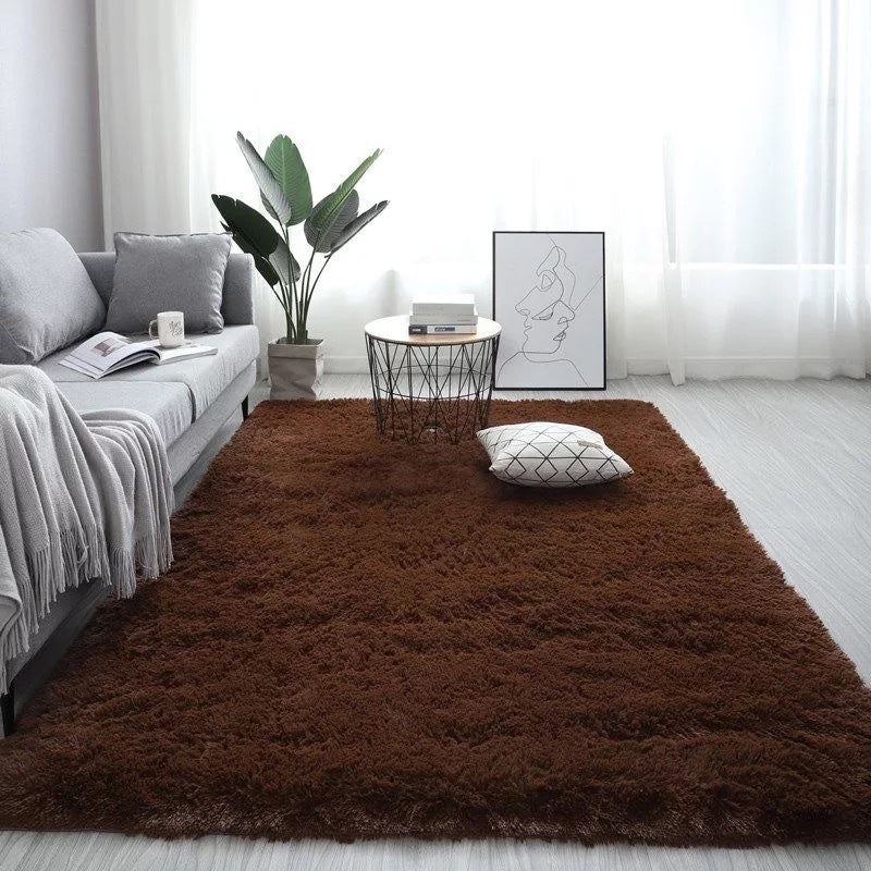 Novelty Plain Shag Carpet Polyester Indoor Rug Non-Slip Backing Area Carpet for Living Room