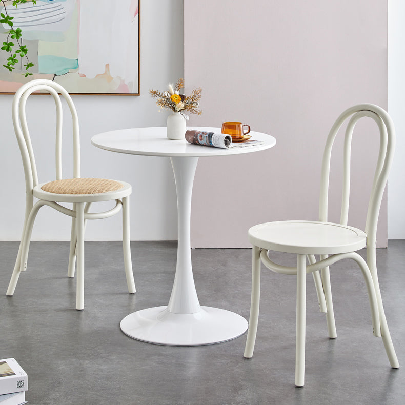 La madera de haya del estilo moderno preside el sistema de comedor de la cocina del lado trasero de Windsor