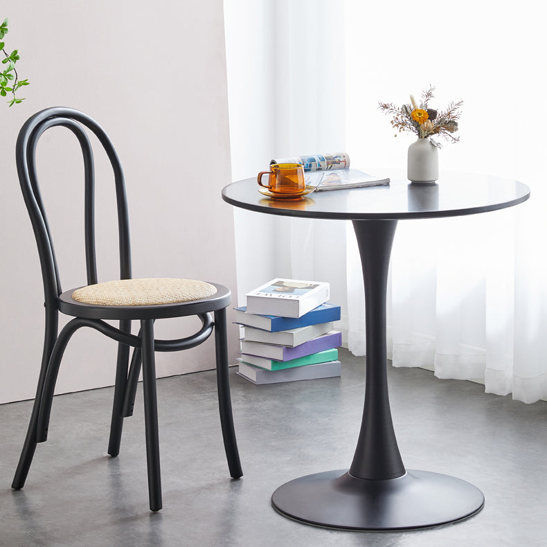 La madera de haya del estilo moderno preside el sistema de comedor de la cocina del lado trasero de Windsor