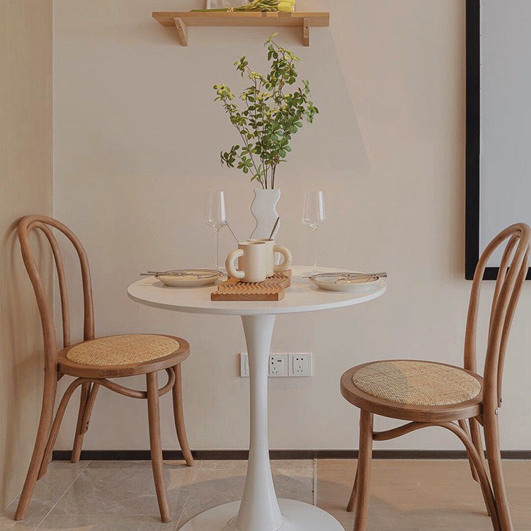La madera de haya del estilo moderno preside el sistema de comedor de la cocina del lado trasero de Windsor