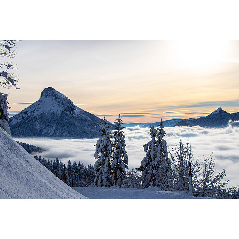 Photography Mountain Mural Moisture Resistant Wall Covering for Living Room