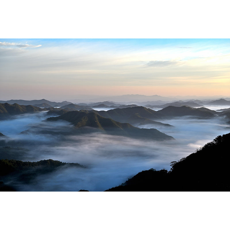 Mountain Landscapes Mural Moisture Resistant Wall Covering for Living Room