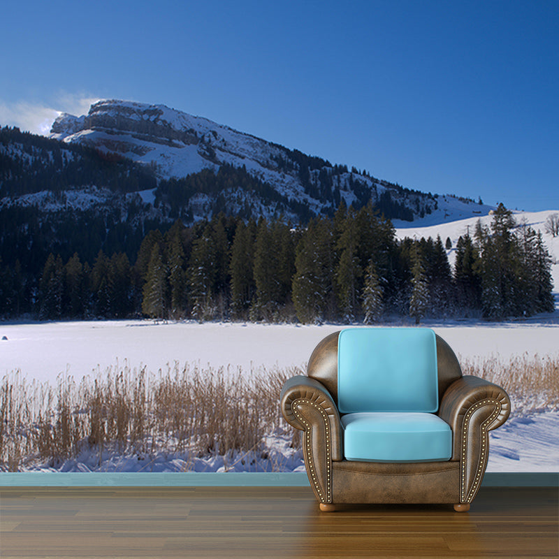 Mountain Landscapes Mural Wallpaper Mildew Resistant Modern Room Decoration