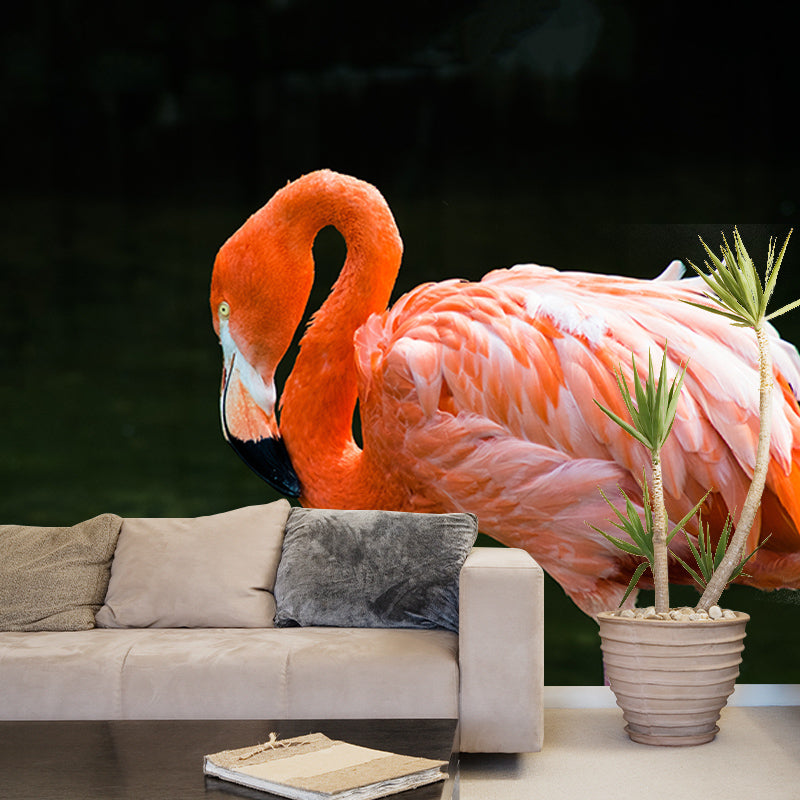 Orange Flamingo Murals for Dining Room Bedroom Decoration, Moisture Resistant