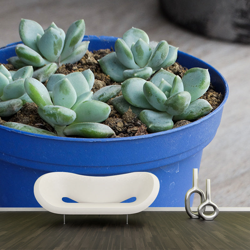 Houseplant Photo Wall Mural for Sleeping Room Home Decor, Made to Measure