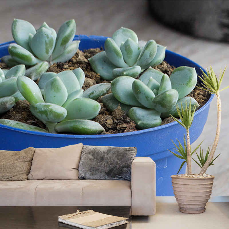 Houseplant Photo Wall Mural for Sleeping Room Home Decor, Made to Measure