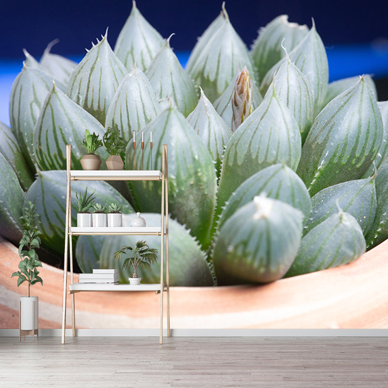 Houseplant Simple Mural for Living Room Bedroom Wall Decor, Made to Measure