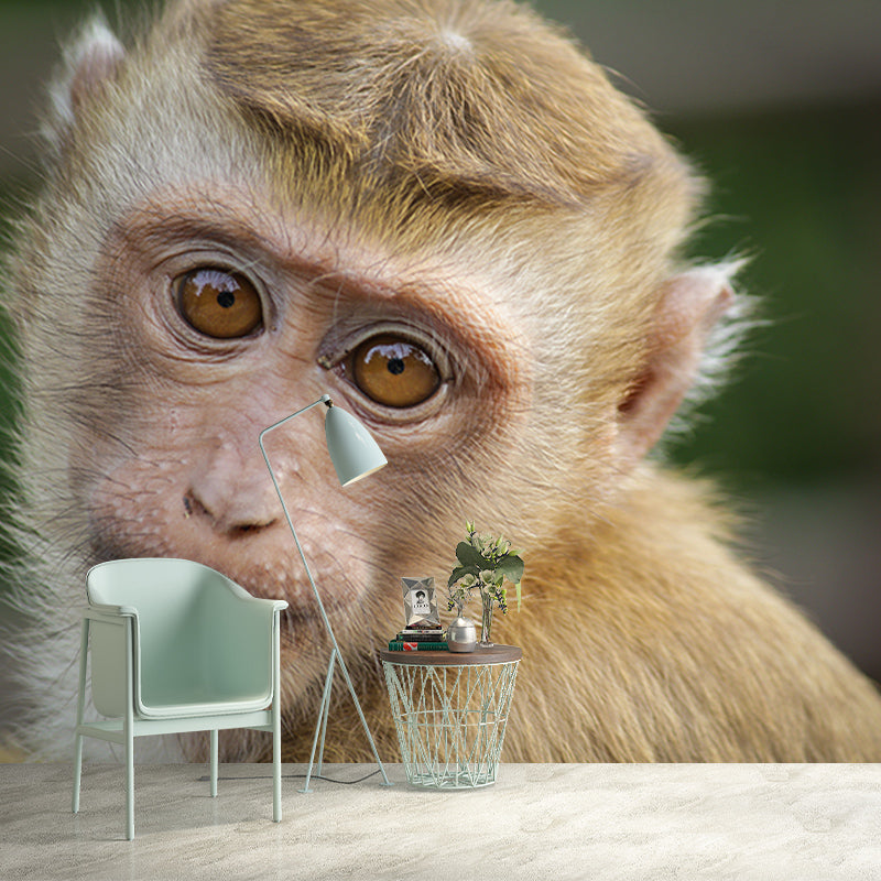 Monkey Animal Moisture-Resistant Mural Wallpaper Nordic Wall Art for Home Decoration