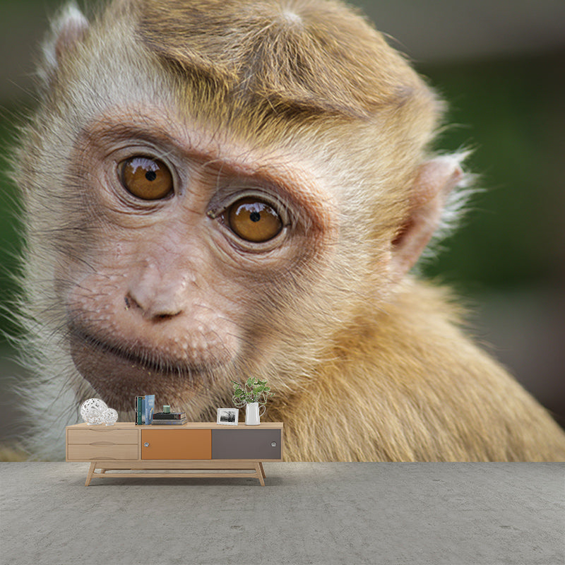 Monkey Animal Moisture-Resistant Mural Wallpaper Nordic Wall Art for Home Decoration