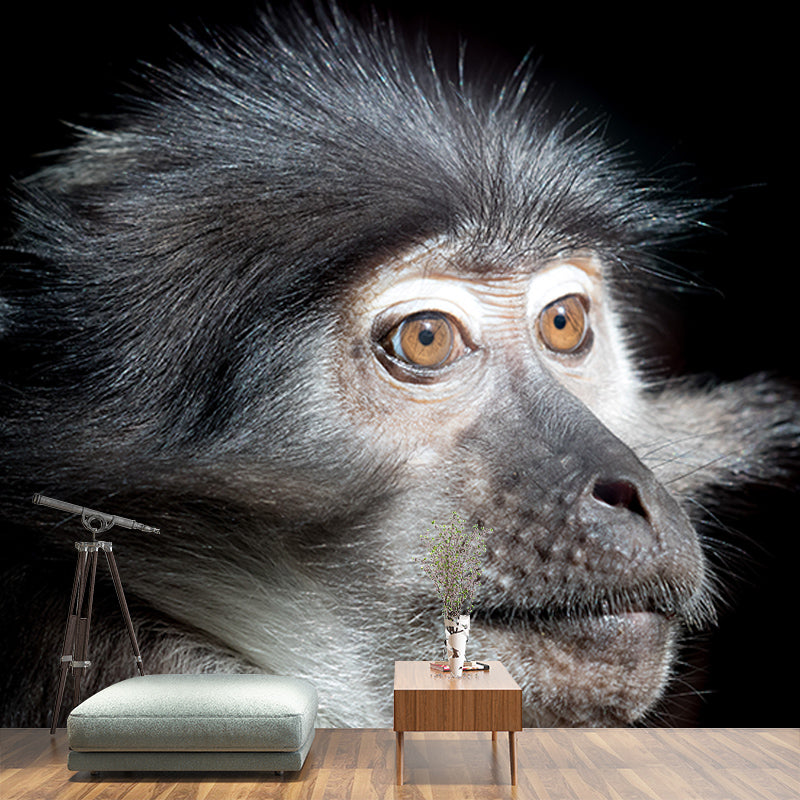 Monkey Animal Moisture-Resistant Mural Wallpaper Nordic Wall Art for Home Decoration